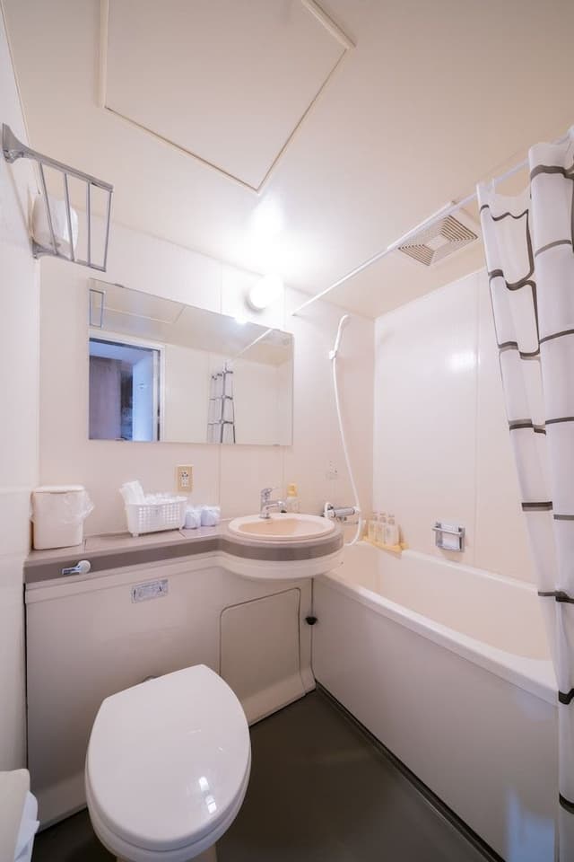 Deluxe Double Room with Bath and Sofa Bed (Non-Smoking)