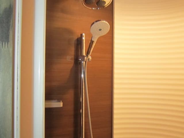 Executive Suite with Private Shower Room, Non Smoking