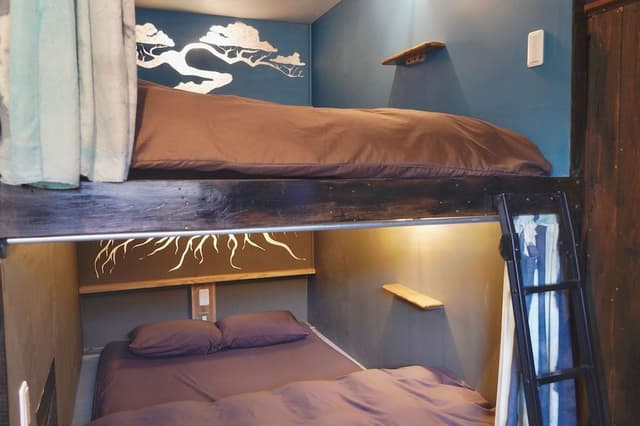 Mixed Dormitory Room, 1 Double Bed