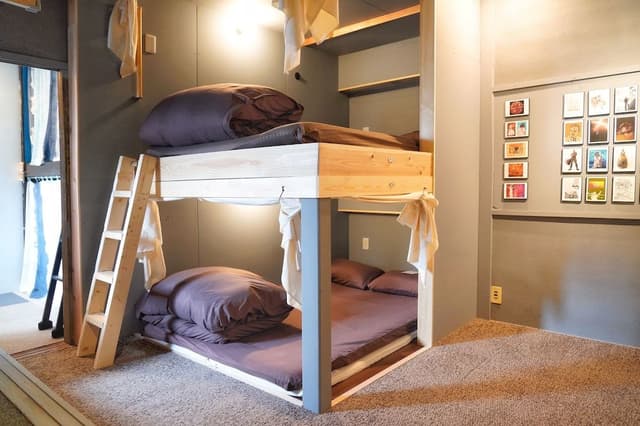 Mixed Dormitory Room, 1 Double Bed