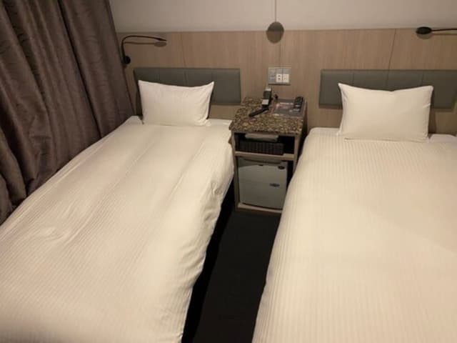 Compact Twin Room