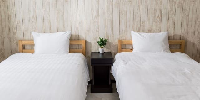 Twin Room ( B )