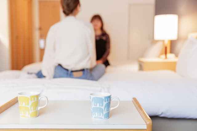Basic Twin Room