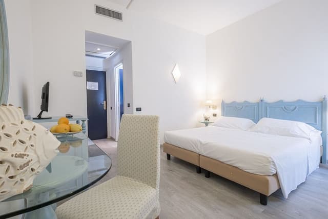 Double Room Single Use