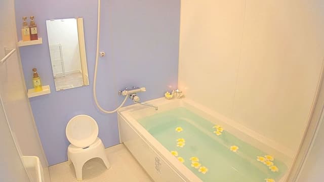 Three Bedrooms House