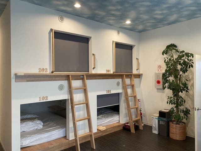 Shared Dormitory, 1 Single Bed