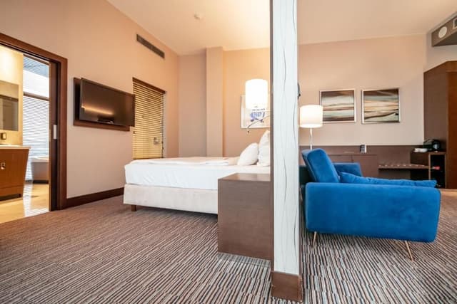 Luxury Apartment