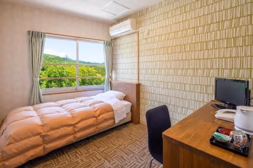 Superior Single Room