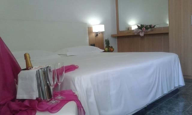 Standard Double Room Single Use