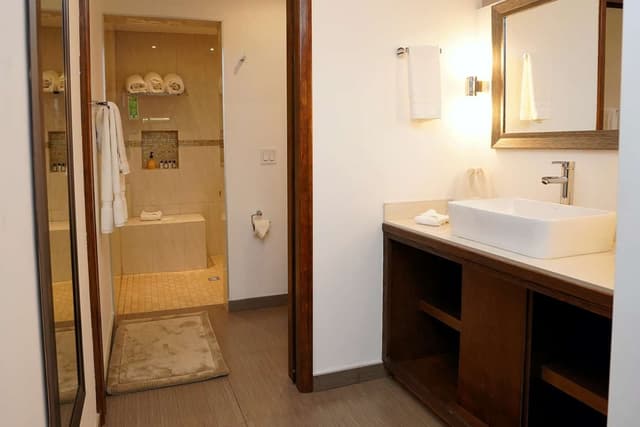 1 Queen Bed, Non-Smoking, Wet Bar, Refrigerator