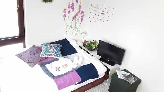 Apartment (101)