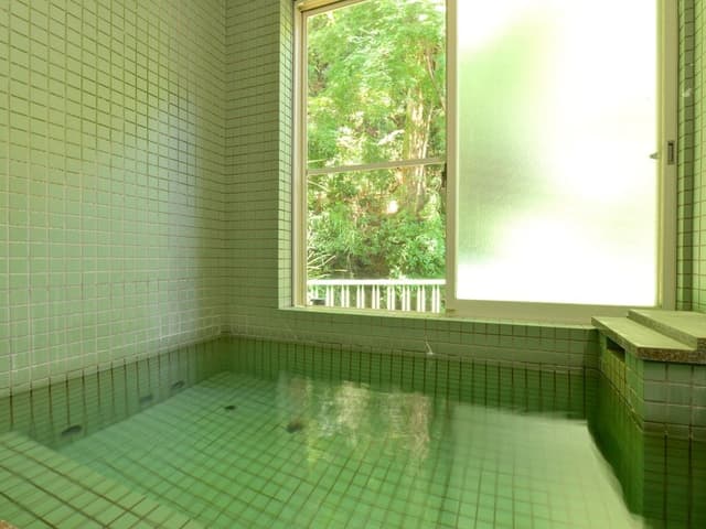 Japanese Style Room with Shared Bathroom