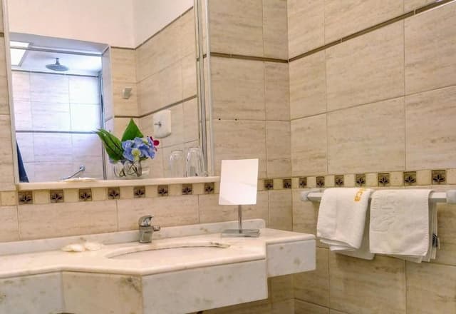 Premium Double or Twin Room