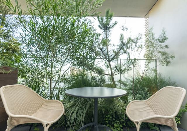 Terrace Room, Non Smoking