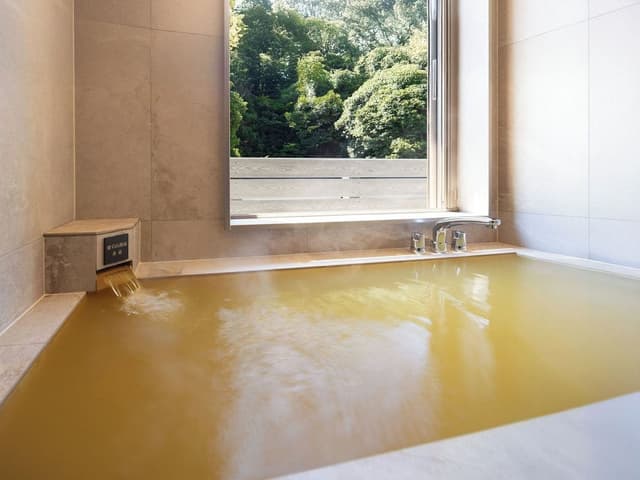 Premium Japanese-Western Room with Kinsen Free-Flow Hot Spring (Up to 5 People), Non smoking