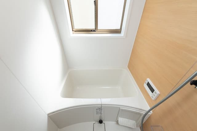 Basic Apartment