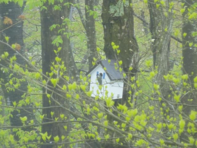 Standard Twin Room, Non Smoking, Mountain View
