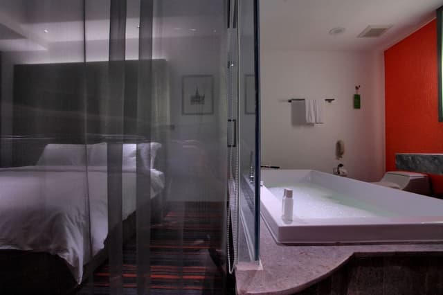 Premier Suite (Full Spectrum Suite)