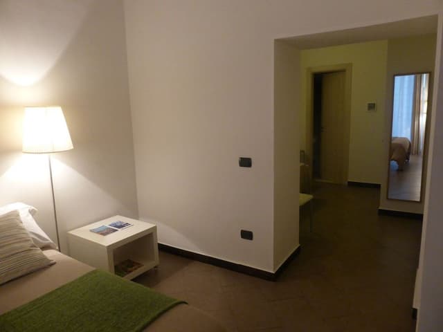 Business Double Room Single Use, 1 Queen Bed