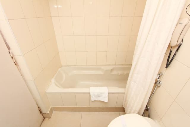Deluxe Single Room, 1 Twin Bed, Bathtub, Garden View
