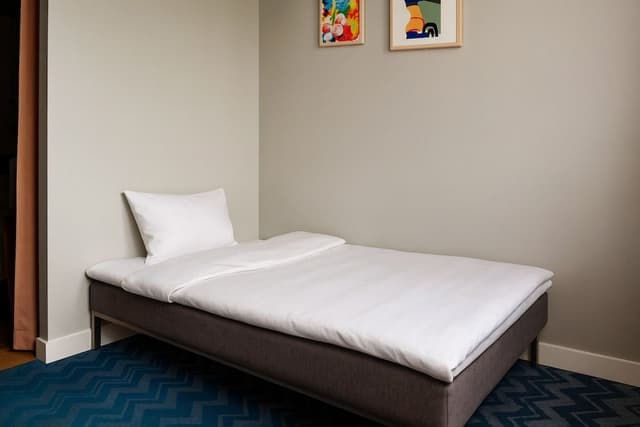 Large Room with Sofa Bed