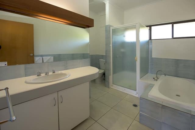 Basic Apartment