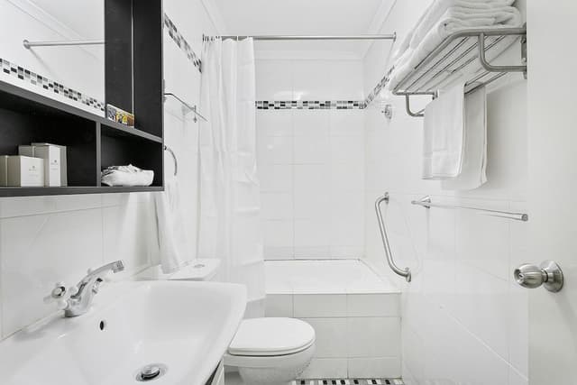Basic Suite