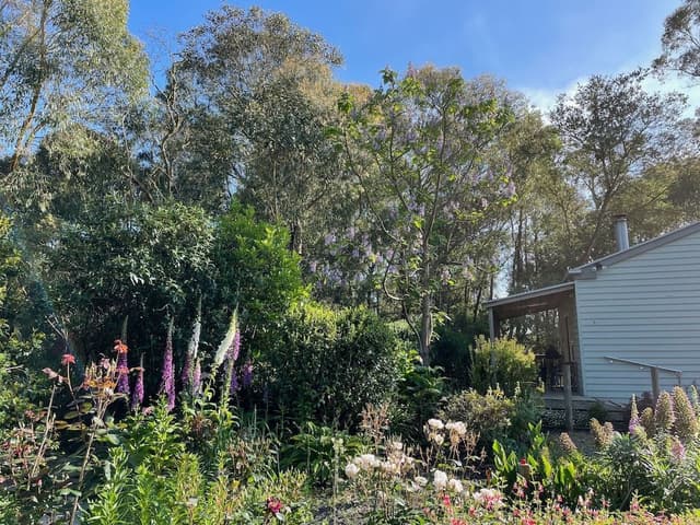 Superior Cottage