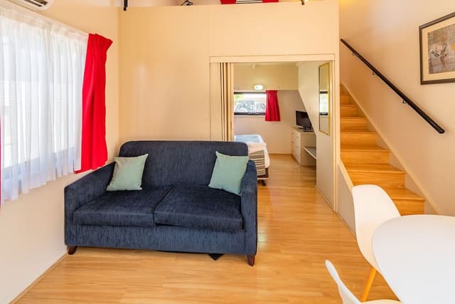 King Parrot Loft
