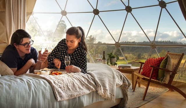 Panoramic Tent, 1 King Bed, Vineyard View (The Pinot Glampers Dome)
