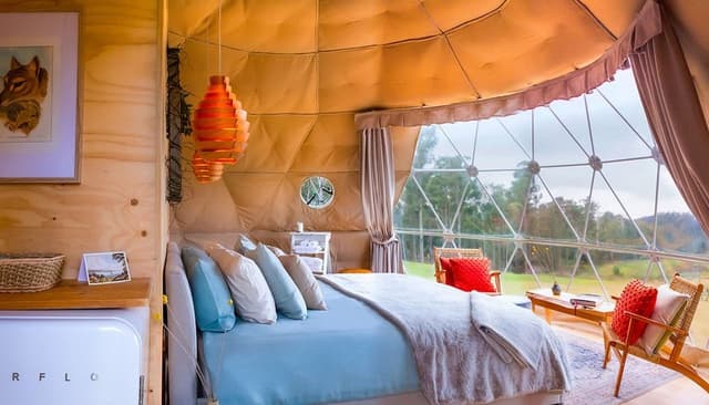 Panoramic Tent, 1 King Bed, Vineyard View (The Pinot Glampers Dome)