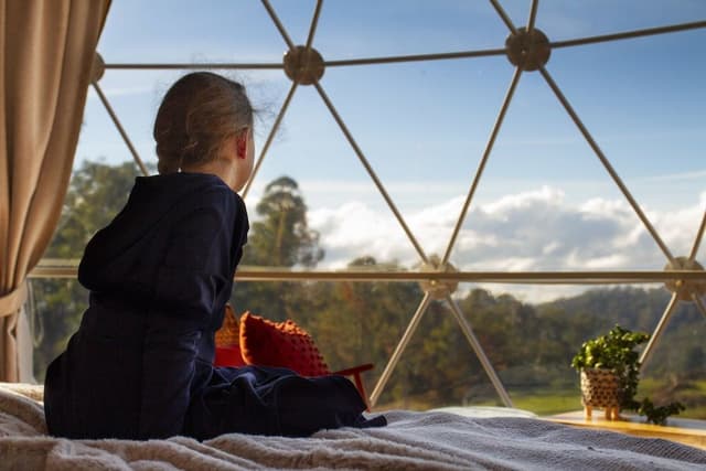 Panoramic Tent, 1 King Bed, Vineyard View (The Pinot Glampers Dome)