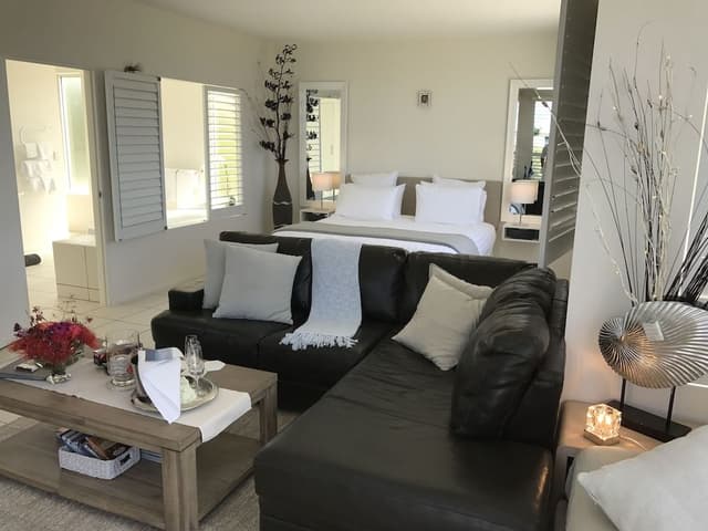 Luxury Studio Suite