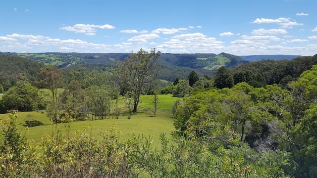 Superior Cottage, Black Cockatoo