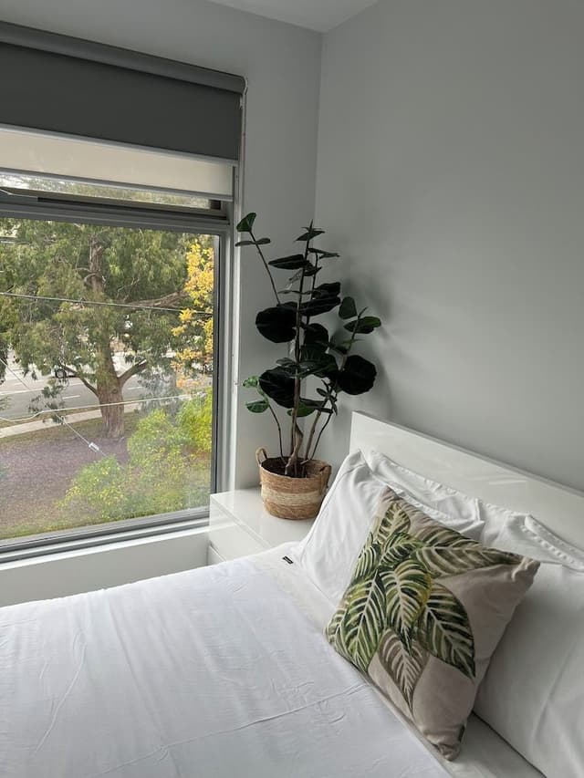 Executive Apartment, Multiple Beds