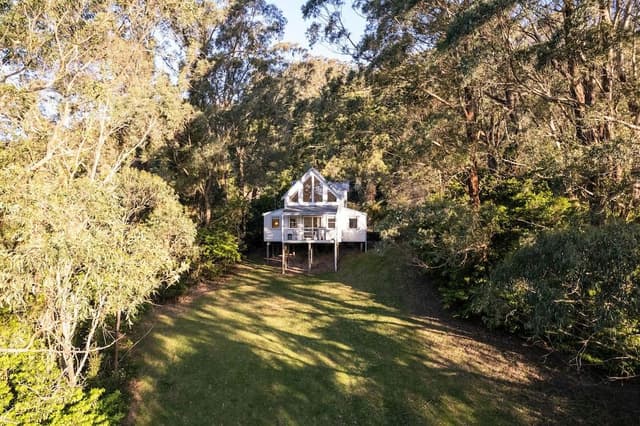 Rainforest Lodge