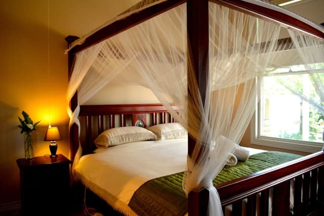 Room, 1 King Bed (Beer Garden)
