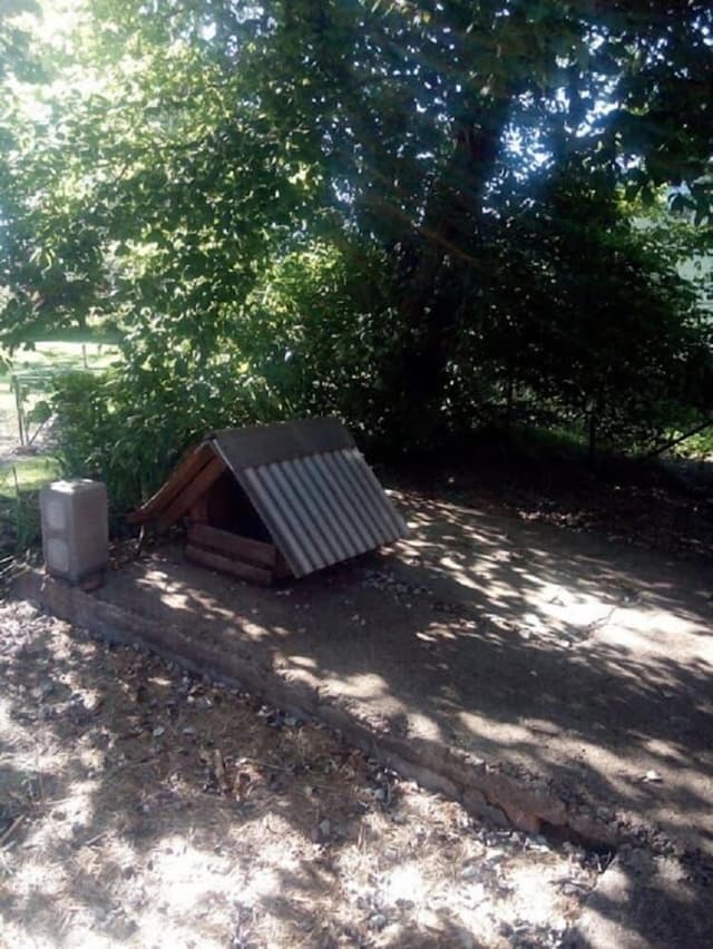 Cabin, 1 Bedroom, Shared Bathroom