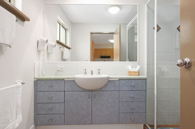 1 Bedroom Loft Apartment