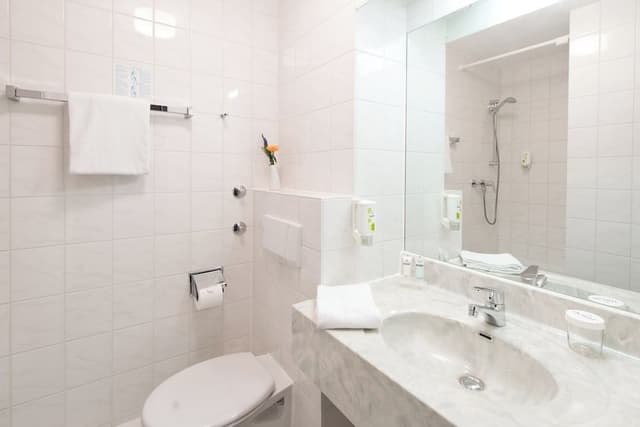 Business Twin Room