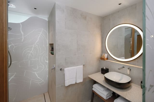 Standard Room, 1 King Bed, Accessible, Club Lounge Access