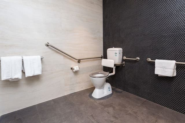 Room, 1 King Bed, Accessible, Non Smoking