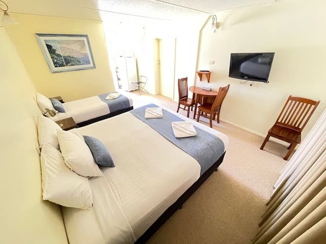 Economy Twin Room