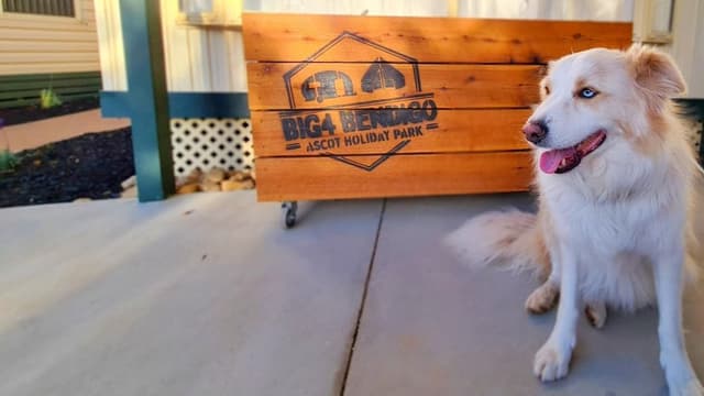 The Pooch Pad 2 Bedroom ( 4 Berth)
