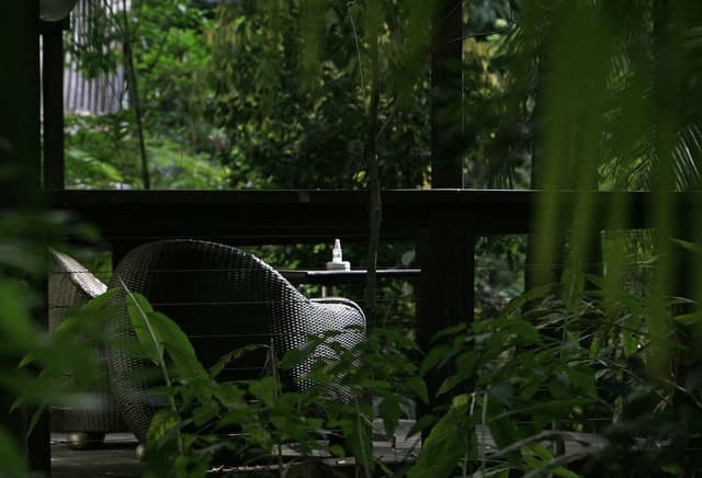 Luxury Suite, 1 Bedroom, Balcony (Rainforest Luxury Villa)