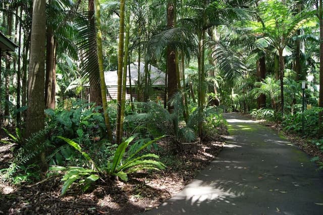 Luxury Suite, 1 Bedroom, Balcony (Rainforest Luxury Villa)