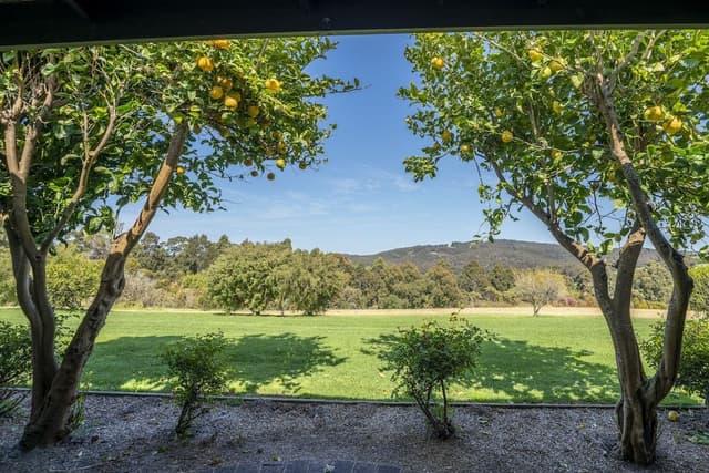 Panoramic Studio Suite, Mountain View