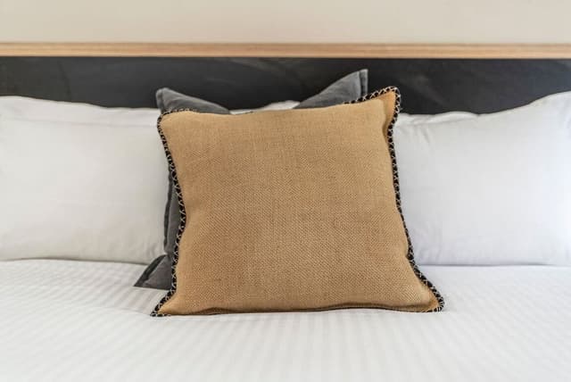1 Bed Apartment
