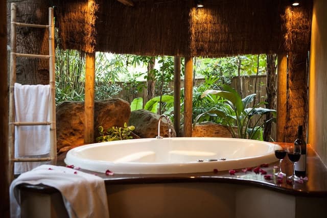Suite (Rainforest)