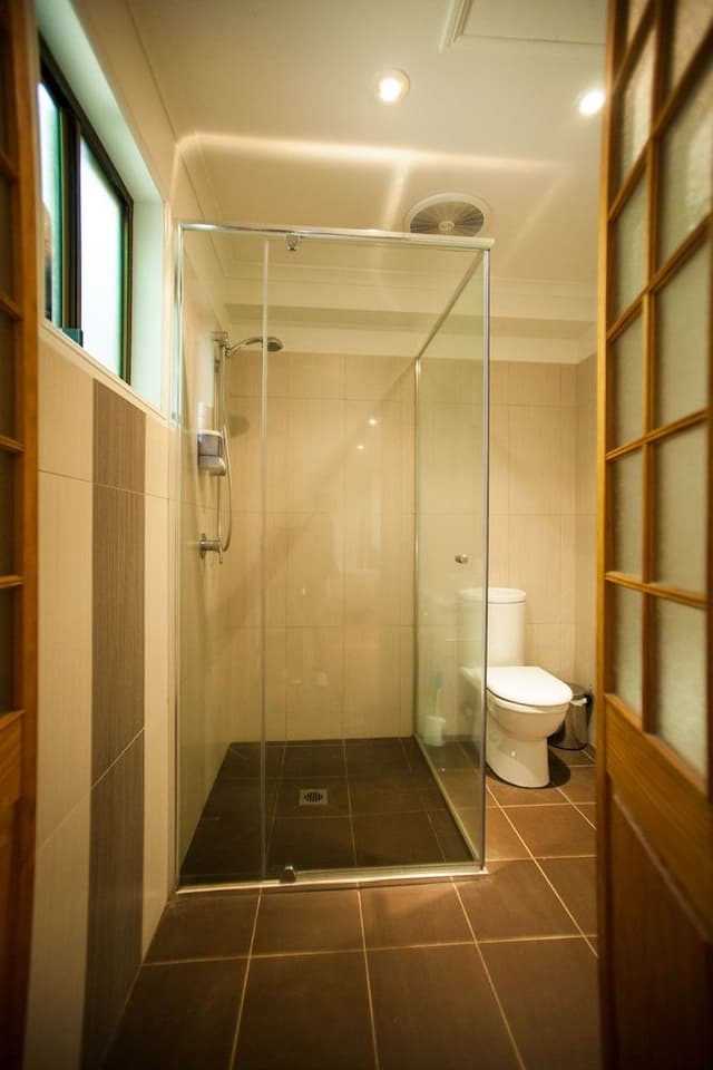 Suite (Rainforest)